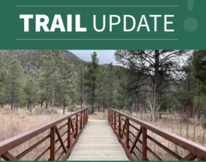 Read more about the article Comment on Draft EA – Questa to Red River Trail